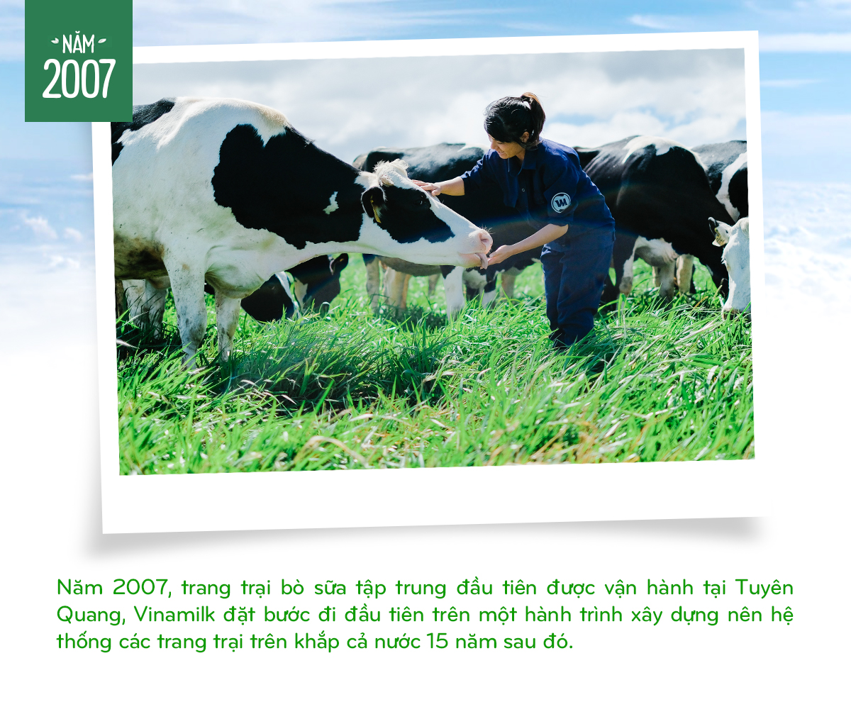 Vinamilk: 15 năm xây hệ thống trang trại bò sữa với “bộ sưu tập” tiêu chuẩn quốc tế - Ảnh 2